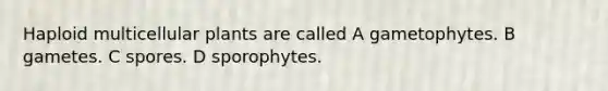 Haploid multicellular plants are called A gametophytes. B gametes. C spores. D sporophytes.