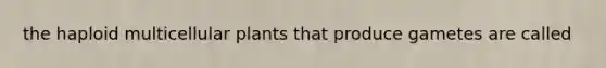 the haploid multicellular plants that produce gametes are called