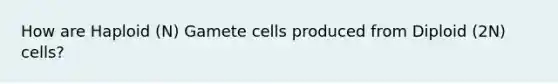 How are Haploid (N) Gamete cells produced from Diploid (2N) cells?