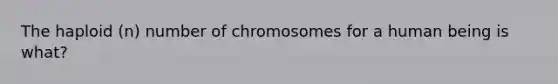 The haploid (n) number of chromosomes for a human being is what?