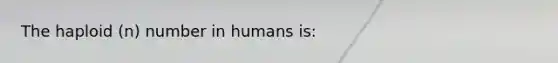 The haploid (n) number in humans is: