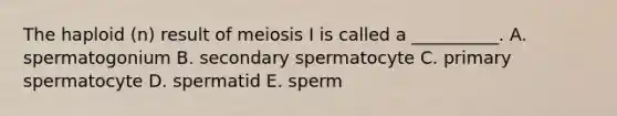 The haploid (n) result of meiosis I is called a __________. A. spermatogonium B. secondary spermatocyte C. primary spermatocyte D. spermatid E. sperm