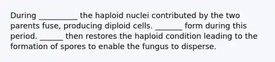 During __________ the haploid nuclei contributed by the two parents fuse, producing diploid cells. _______ form during this period. ______ then restores the haploid condition leading to the formation of spores to enable the fungus to disperse.