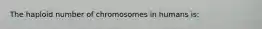 The haploid number of chromosomes in humans is: