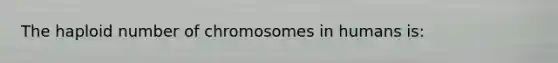 The haploid number of chromosomes in humans is: