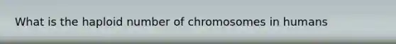 What is the haploid number of chromosomes in humans