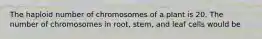 The haploid number of chromosomes of a plant is 20. The number of chromosomes in root, stem, and leaf cells would be