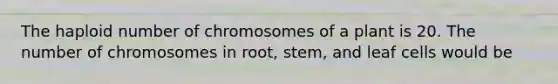 The haploid number of chromosomes of a plant is 20. The number of chromosomes in root, stem, and leaf cells would be