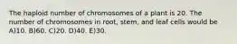 The haploid number of chromosomes of a plant is 20. The number of chromosomes in root, stem, and leaf cells would be A)10. B)60. C)20. D)40. E)30.