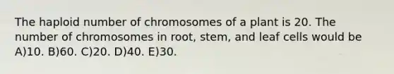 The haploid number of chromosomes of a plant is 20. The number of chromosomes in root, stem, and leaf cells would be A)10. B)60. C)20. D)40. E)30.