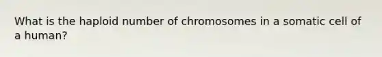 What is the haploid number of chromosomes in a somatic cell of a human?