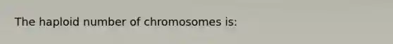 The haploid number of chromosomes is: