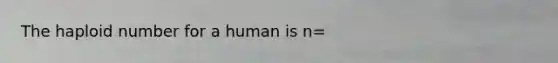 The haploid number for a human is n=