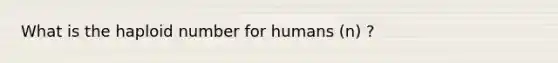 What is the haploid number for humans (n) ?