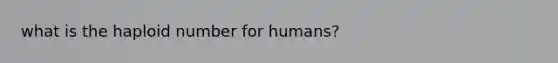 what is the haploid number for humans?