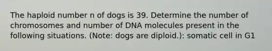 The haploid number n of dogs is 39. Determine the number of chromosomes and number of DNA molecules present in the following situations. (Note: dogs are diploid.): somatic cell in G1