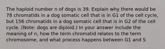 The haploid number n of dogs is 39. Explain why there would be 78 chromatids in a dog somatic cell that is in G1 of the cell cycle, but 156 chromatids in a dog somatic cell that is in G2 of the cell cycle. (Note: dogs are diploid.) In your answer include the meaning of n, how the term chromatid relates to the term chromosome, and what process happens between G1 and S