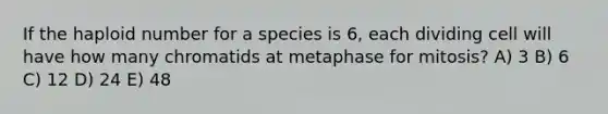 If the haploid number for a species is 6, each dividing cell will have how many chromatids at metaphase for mitosis? A) 3 B) 6 C) 12 D) 24 E) 48