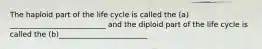 The haploid part of the life cycle is called the (a) __________________________ and the diploid part of the life cycle is called the (b)________________________