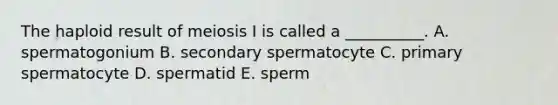 The haploid result of meiosis I is called a __________. A. spermatogonium B. secondary spermatocyte C. primary spermatocyte D. spermatid E. sperm