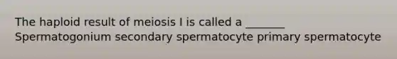 The haploid result of meiosis I is called a _______ Spermatogonium secondary spermatocyte primary spermatocyte