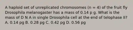 A haploid set of unreplicated chromosomes (n = 4) of the fruit fly Drosophila melanogaster has a mass of 0.14 p g. What is the mass of D N A in single Drosophila cell at the end of telophase II? A. 0.14 pg B. 0.28 pg C. 0.42 pg D. 0.56 pg