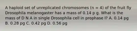 A haploid set of unreplicated chromosomes (n = 4) of the fruit fly Drosophila melanogaster has a mass of 0.14 p g. What is the mass of D N A in single Drosophila cell in prophase I? A. 0.14 pg B. 0.28 pg C. 0.42 pg D. 0.56 pg