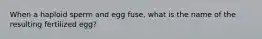 When a haploid sperm and egg fuse, what is the name of the resulting fertilized egg?