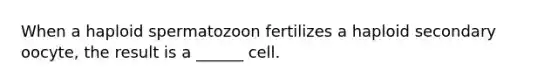 When a haploid spermatozoon fertilizes a haploid secondary oocyte, the result is a ______ cell.