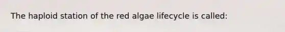 The haploid station of the red algae lifecycle is called: