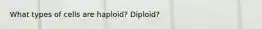 What types of cells are haploid? Diploid?