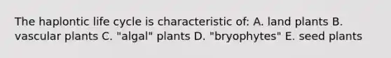The haplontic life cycle is characteristic of: A. land plants B. vascular plants C. "algal" plants D. "bryophytes" E. seed plants