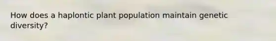 How does a haplontic plant population maintain genetic diversity?