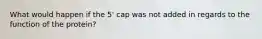 What would happen if the 5' cap was not added in regards to the function of the protein?