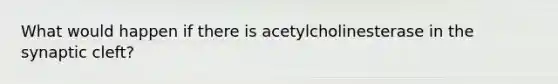 What would happen if there is acetylcholinesterase in the synaptic cleft?