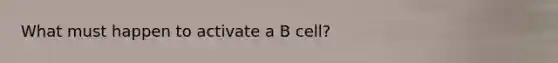 What must happen to activate a B cell?