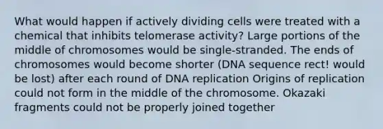 What would happen if actively dividing cells were treated with a chemical that inhibits telomerase activity? Large portions of the middle of chromosomes would be single-stranded. The ends of chromosomes would become shorter (DNA sequence rect! would be lost) after each round of DNA replication Origins of replication could not form in the middle of the chromosome. Okazaki fragments could not be properly joined together