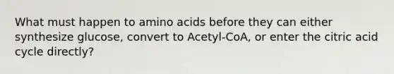 What must happen to amino acids before they can either synthesize glucose, convert to Acetyl-CoA, or enter the citric acid cycle directly?