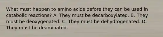 What must happen to amino acids before they can be used in catabolic reactions? A. They must be decarboxylated. B. They must be deoxygenated. C. They must be dehydrogenated. D. They must be deaminated.