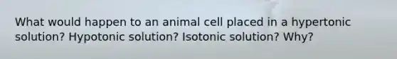 What would happen to an animal cell placed in a hypertonic solution? Hypotonic solution? Isotonic solution? Why?