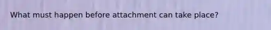 What must happen before attachment can take place?