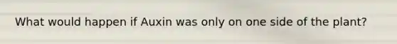 What would happen if Auxin was only on one side of the plant?