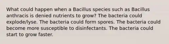 What could happen when a Bacillus species such as Bacillus anthracis is denied nutrients to grow? The bacteria could explode/lyse. The bacteria could form spores. The bacteria could become more susceptible to disinfectants. The bacteria could start to grow faster.