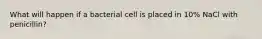 What will happen if a bacterial cell is placed in 10% NaCl with penicillin?