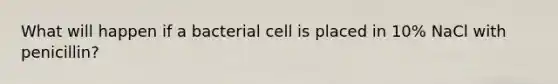 What will happen if a bacterial cell is placed in 10% NaCl with penicillin?