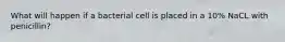 What will happen if a bacterial cell is placed in a 10% NaCL with penicillin?