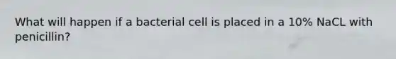 What will happen if a bacterial cell is placed in a 10% NaCL with penicillin?