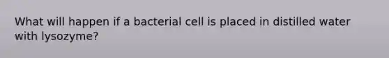 What will happen if a bacterial cell is placed in distilled water with lysozyme?