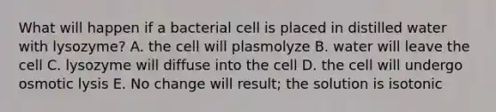 What will happen if a bacterial cell is placed in distilled water with lysozyme? A. the cell will plasmolyze B. water will leave the cell C. lysozyme will diffuse into the cell D. the cell will undergo osmotic lysis E. No change will result; the solution is isotonic