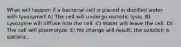 What will happen if a bacterial cell is placed in distilled water with lysozyme? A) The cell will undergo osmotic lysis. B) Lysozyme will diffuse into the cell. C) Water will leave the cell. D) The cell will plasmolyze. E) No change will result; the solution is isotonic.